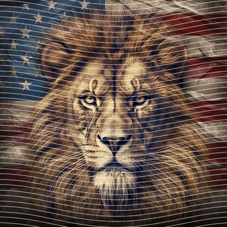 20oz integrate-EJ-10638